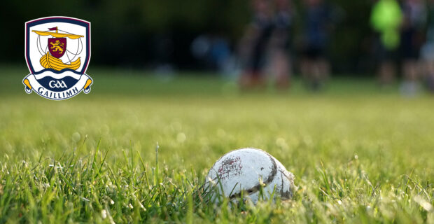 Hurling ball in field with Galway Camogie logo